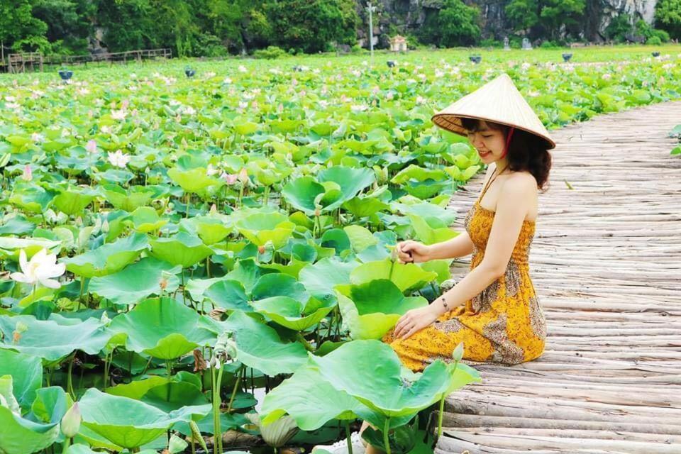 Tam Coc Moon Homestay Ninh Binh Eksteriør bilde