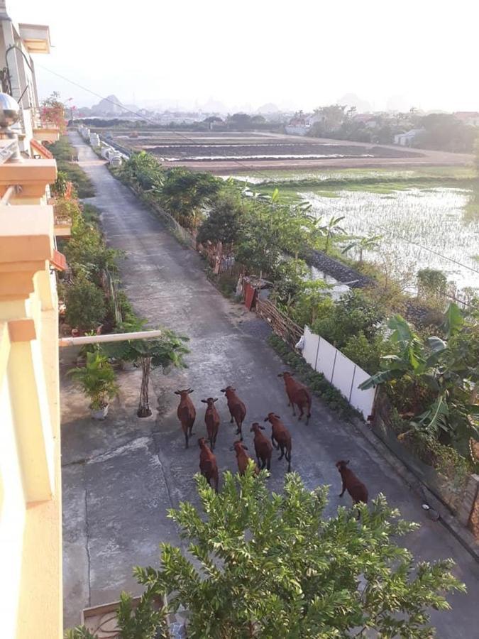 Tam Coc Moon Homestay Ninh Binh Eksteriør bilde